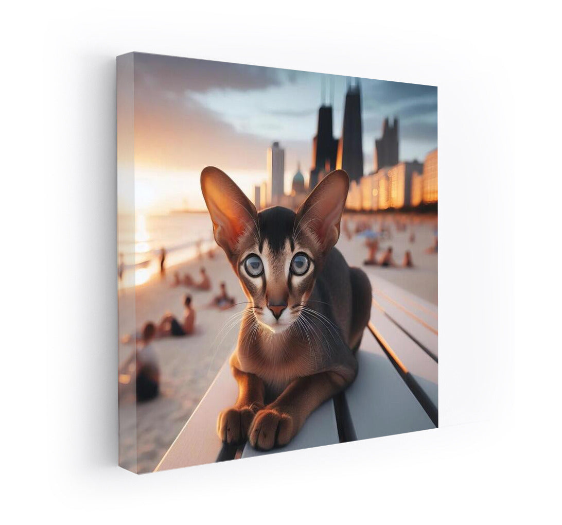 Oriental Shorthair on Fashion Beach: Style and Sun in the Interior