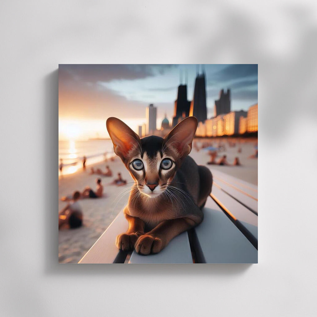 Oriental Shorthair on Fashion Beach: Style and Sun in the Interior