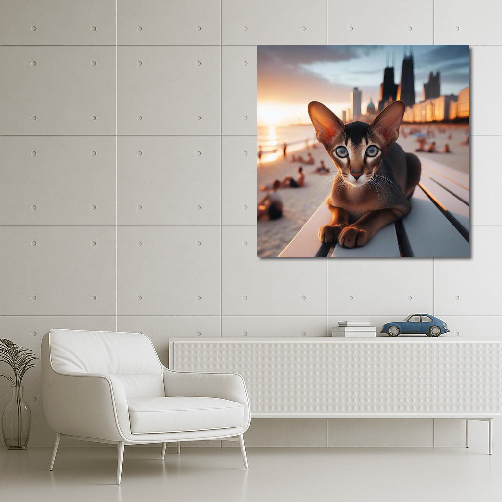 Oriental Shorthair on Fashion Beach: Style and Sun in the Interior