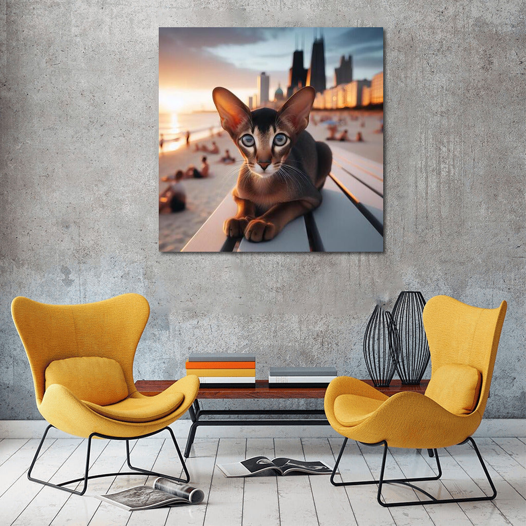Oriental Shorthair on Fashion Beach: Style and Sun in the Interior