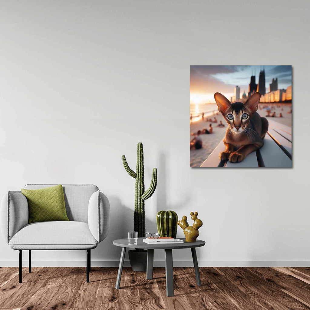 Oriental Shorthair on Fashion Beach: Style and Sun in the Interior