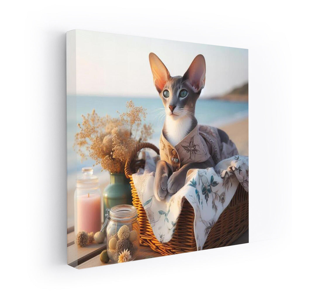 Oriental Shorthair Cat on a Fashionable Beach: Summer Coziness in the Interior