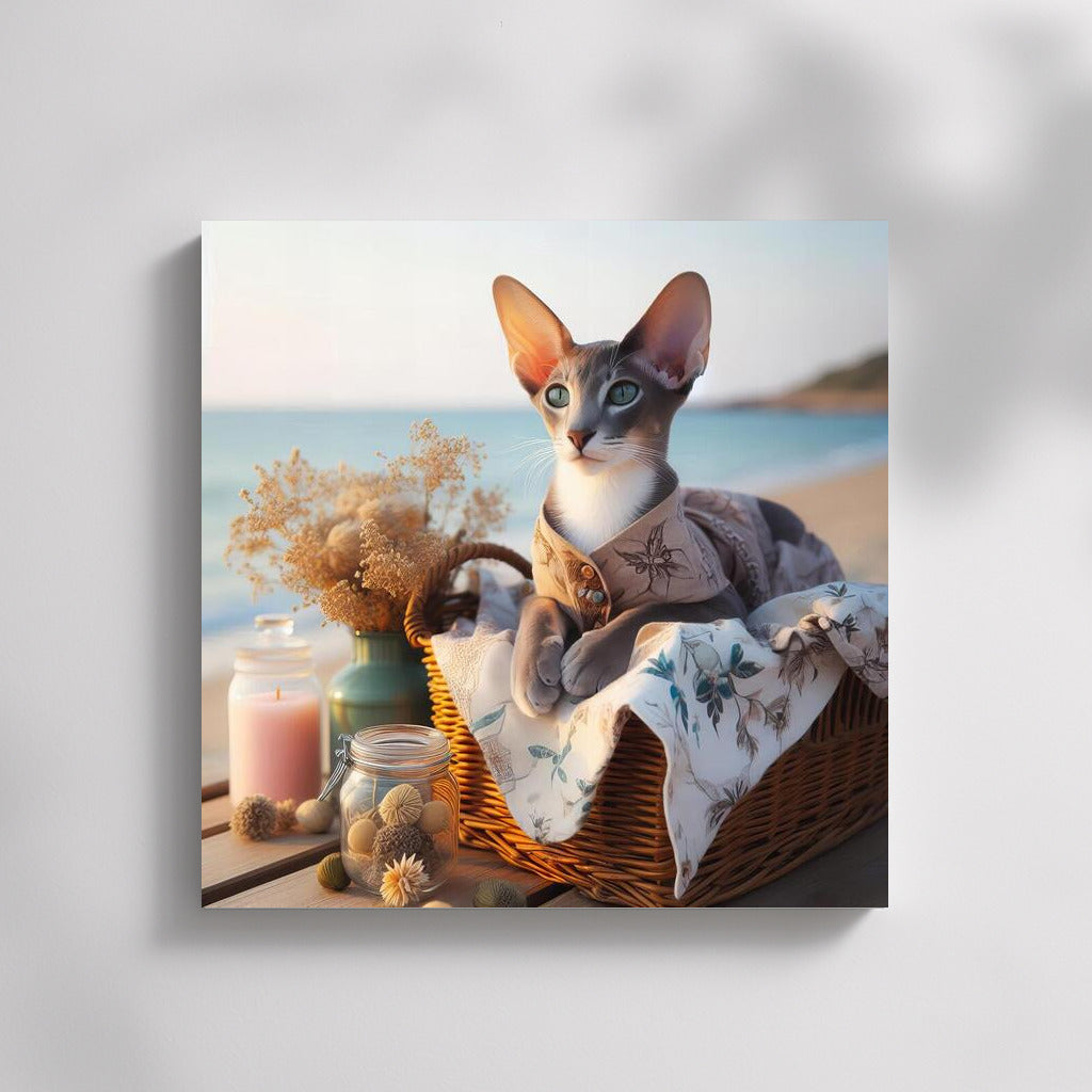 Oriental Shorthair Cat on a Fashionable Beach: Summer Coziness in the Interior