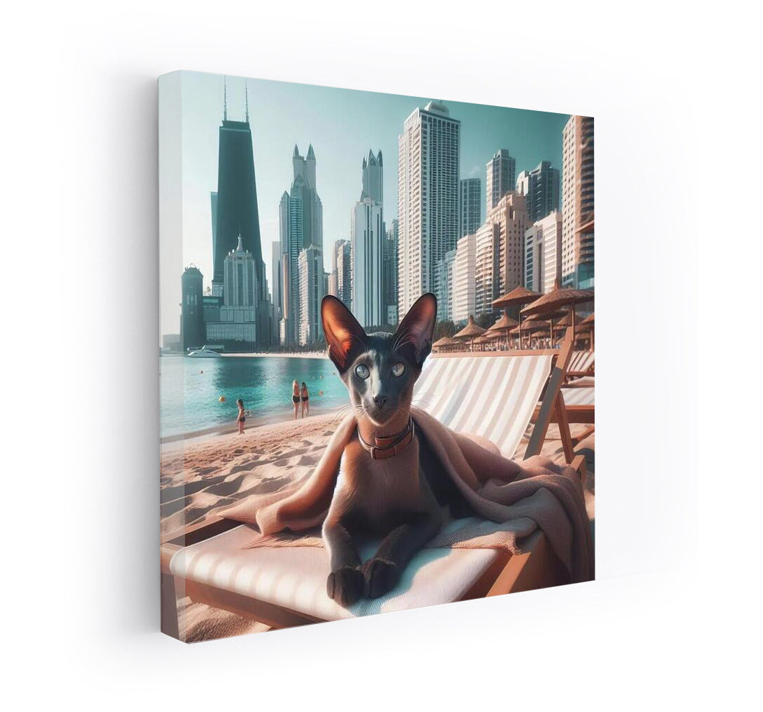 Oriental Shorthair on the Stylish Beach: Summer Whirlwind