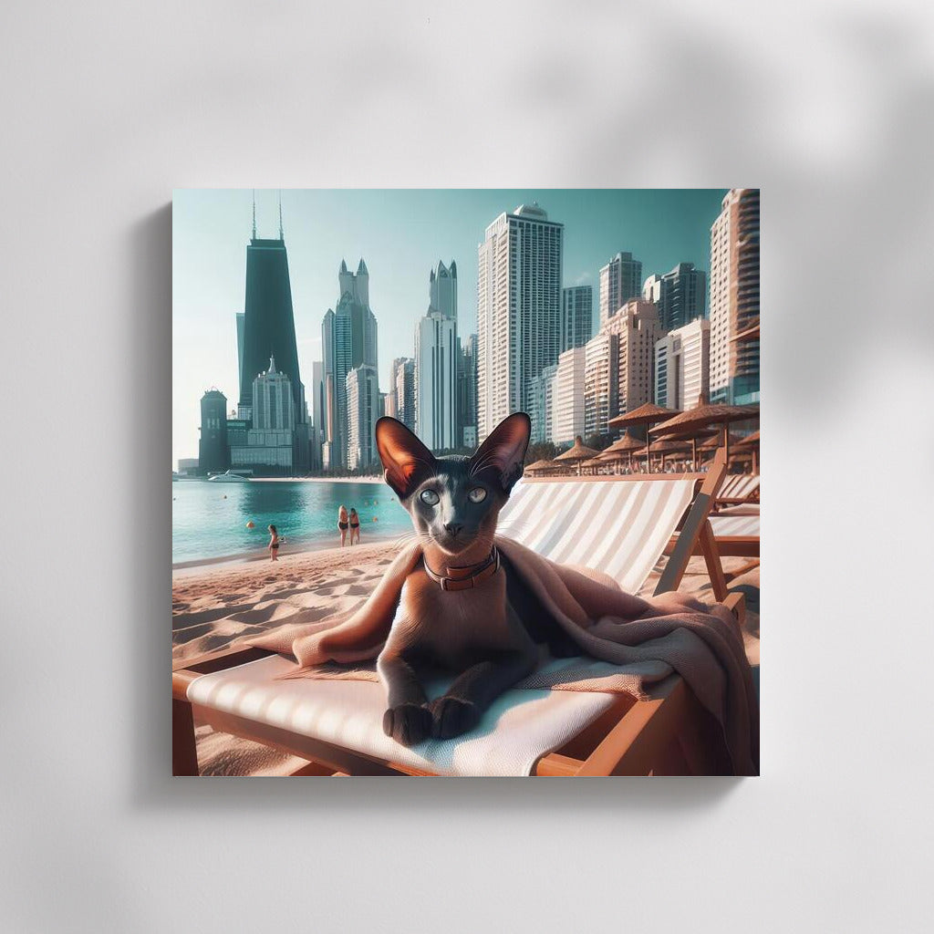 Oriental Shorthair on the Stylish Beach: Summer Whirlwind