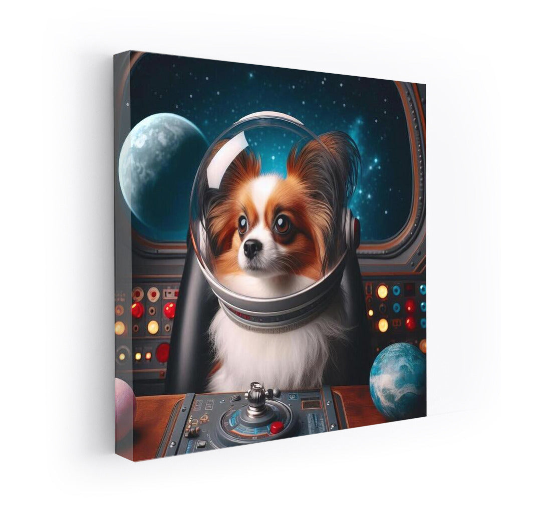 Papillon's Space Adventure: Star Explorer