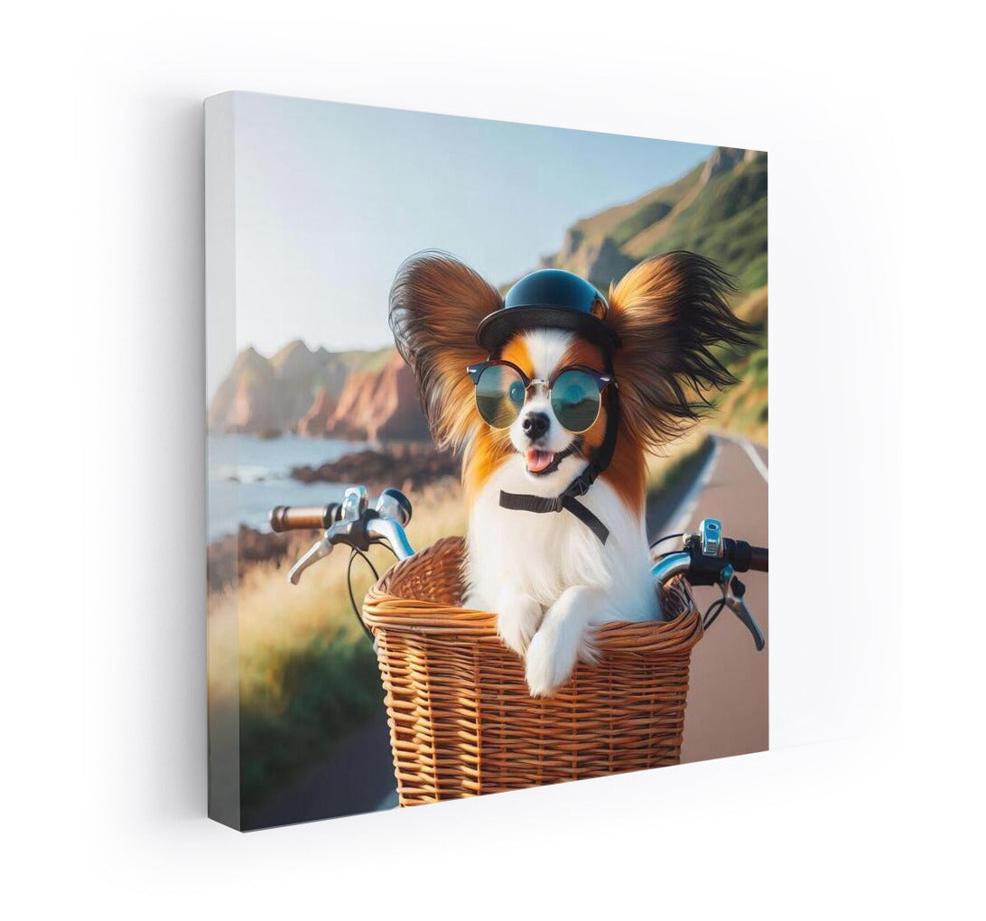 Papillon on a Bike Ride: A Furry Traveler in Sunglasses