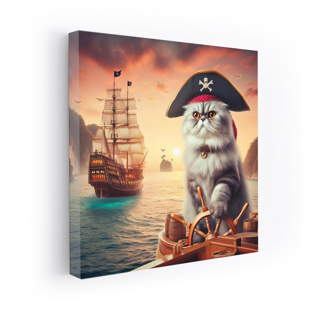 Persian Cat Captain on the Pirate Ship at Treasure Island