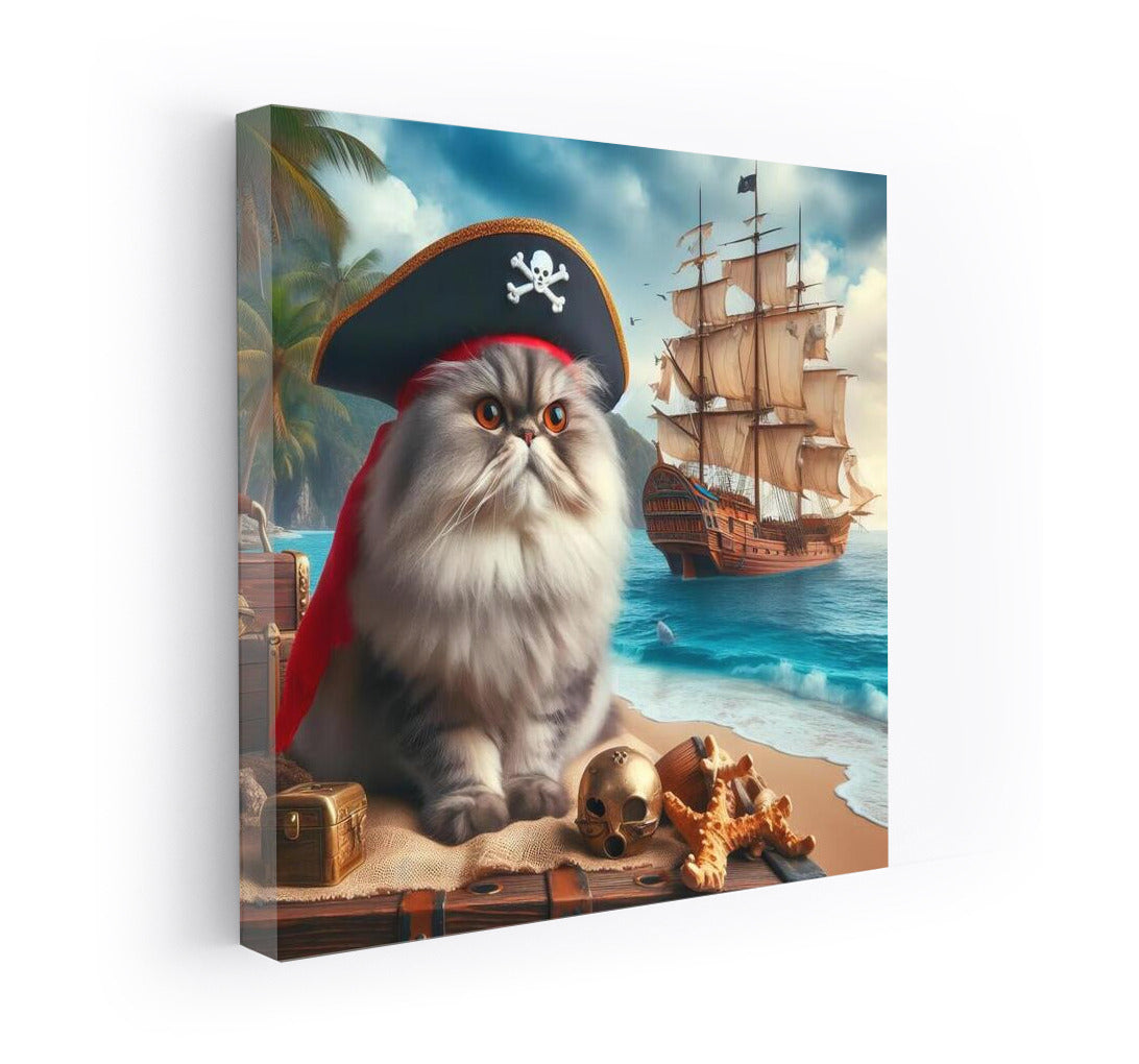 Persian Cat Captain: Pirate Adventure at Treasure Island