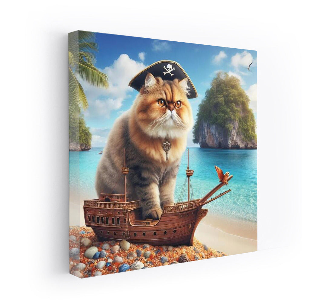 Persian Captain: Fluffy Pirate at Treasure Island