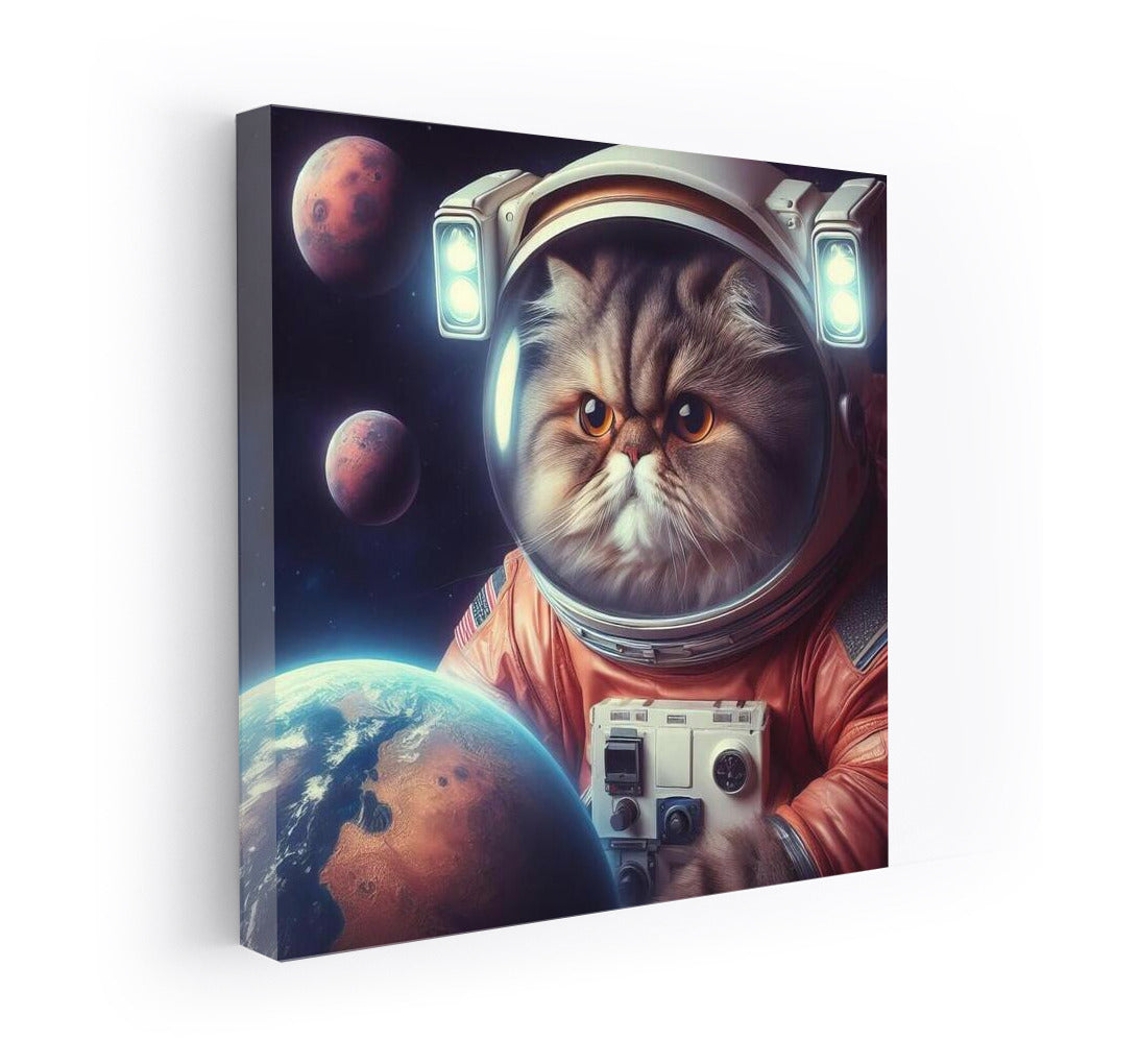 Persian Cat in a Spacesuit: A Martian Journey with a View of Earth