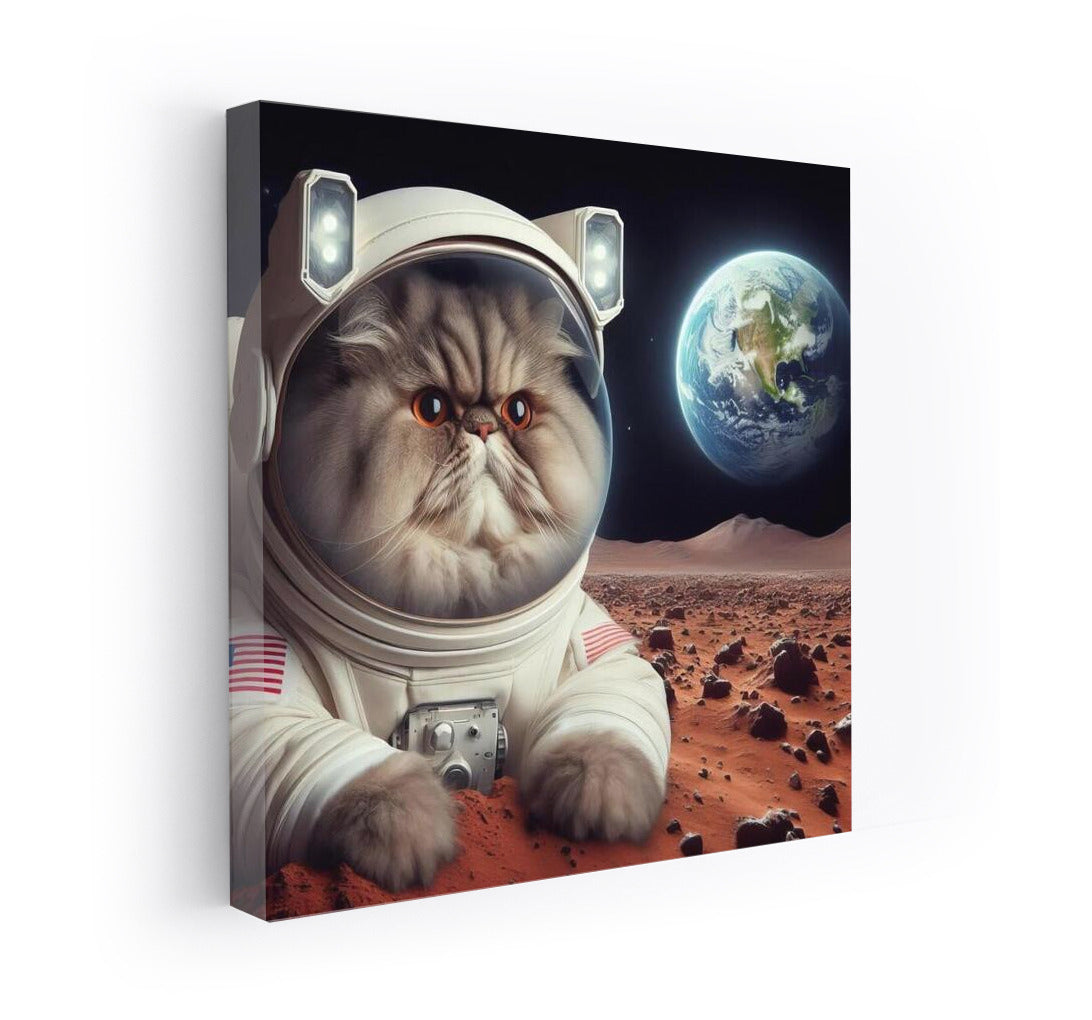Persian Astronaut Cat on Mars: A Look Back at Earth