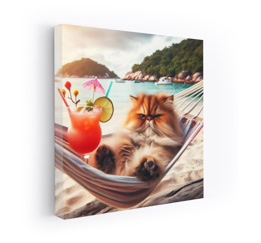 Persian Cat on the Beach: Hammock and Cocktail