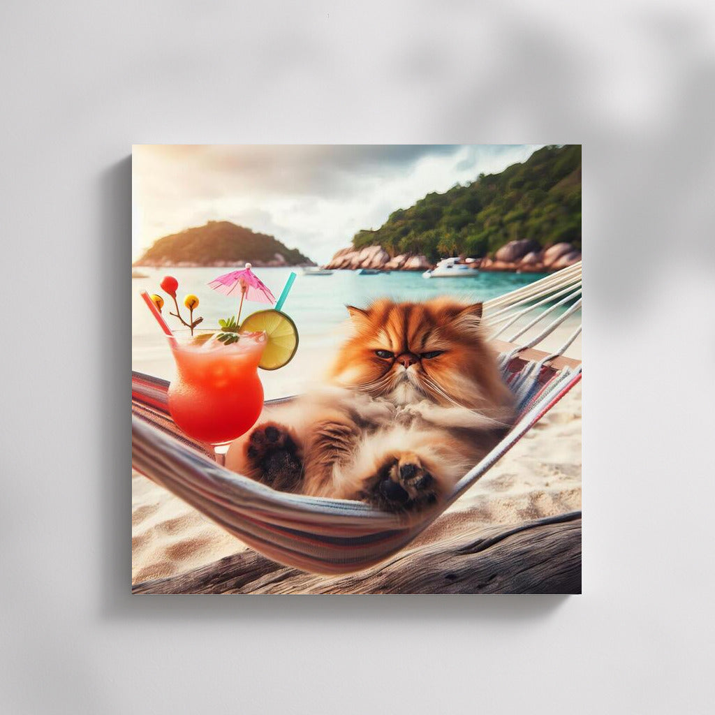 Persian Cat on the Beach: Hammock and Cocktail