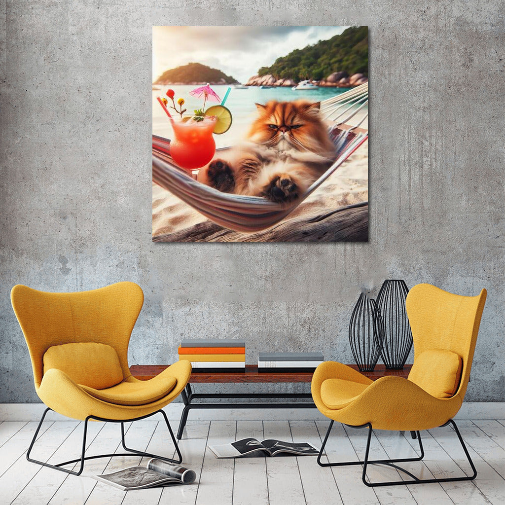 Persian Cat on the Beach: Hammock and Cocktail