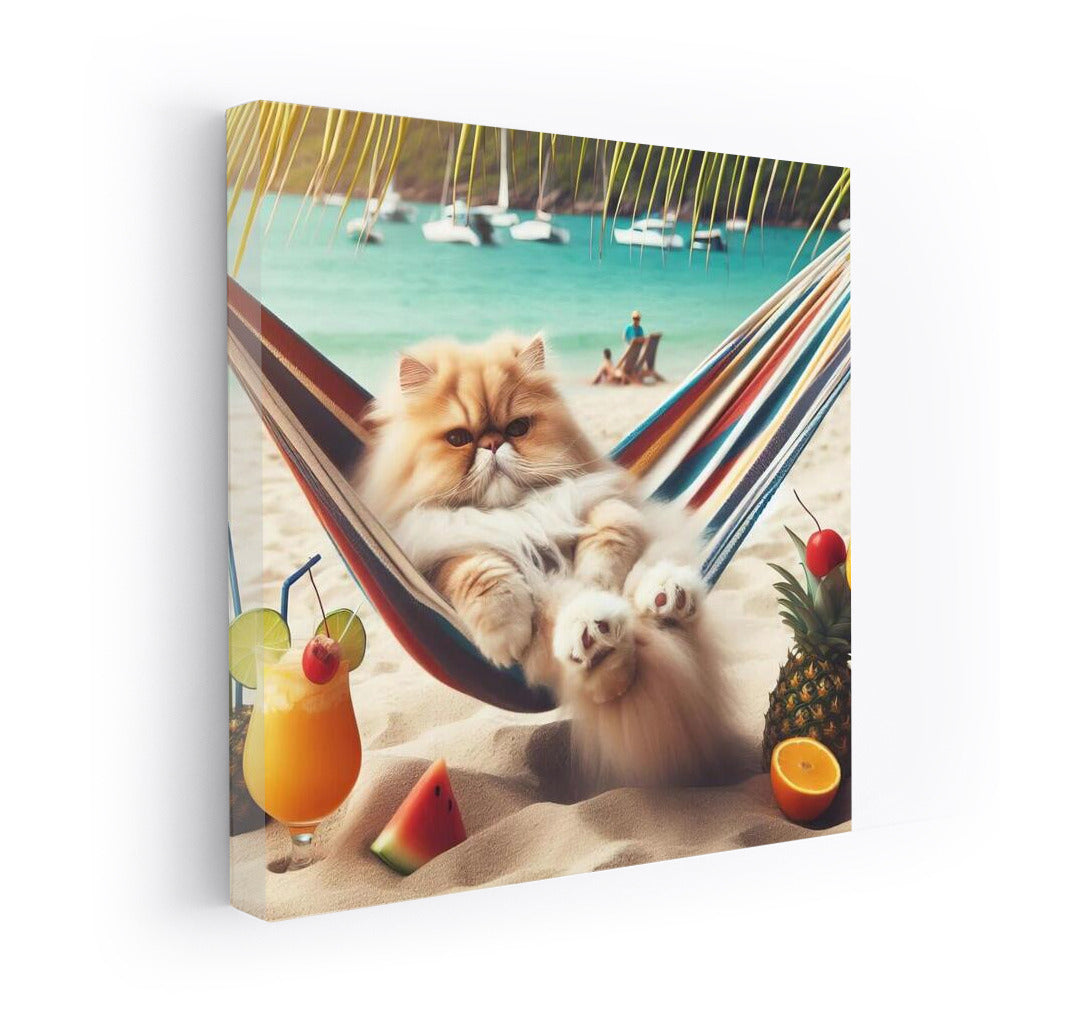 Persian Cat in Paradise: Cocktail and Hammock on the Beach
