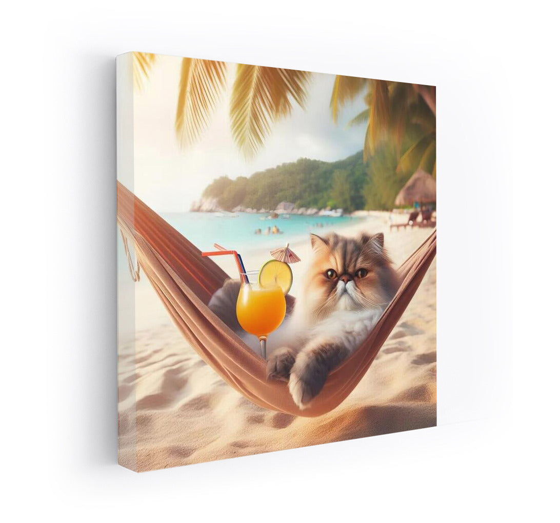 Persian Cat in a Hammock: Beach Vacation with a Cocktail