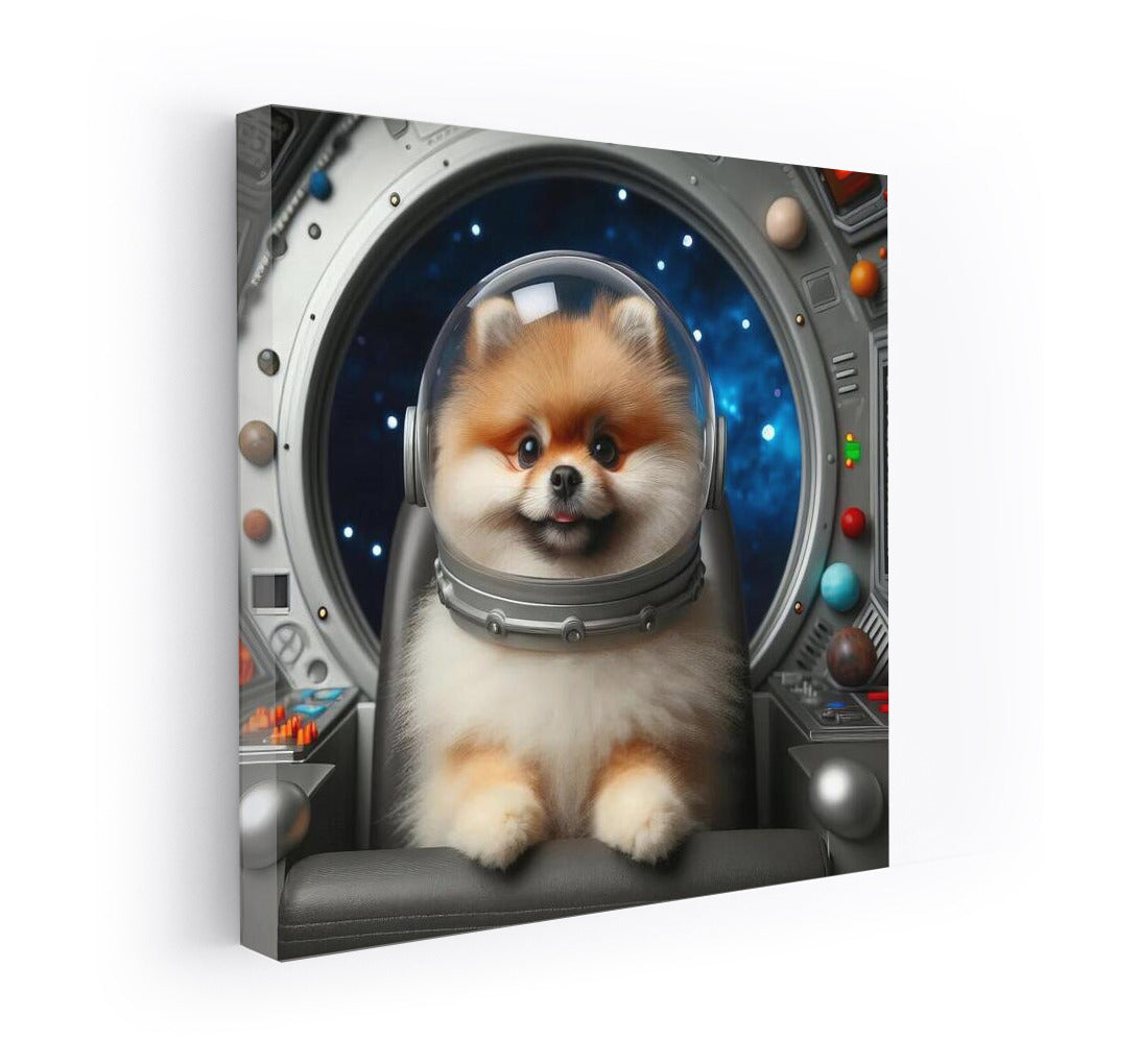 Space Spitz: Furry Traveler in a Starship