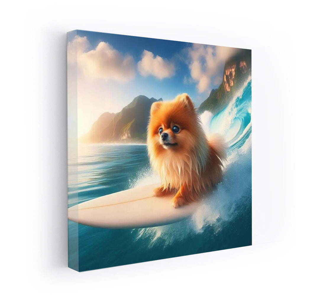 Pomeranian on the crest of a giant wave: Energy and Joy in your home