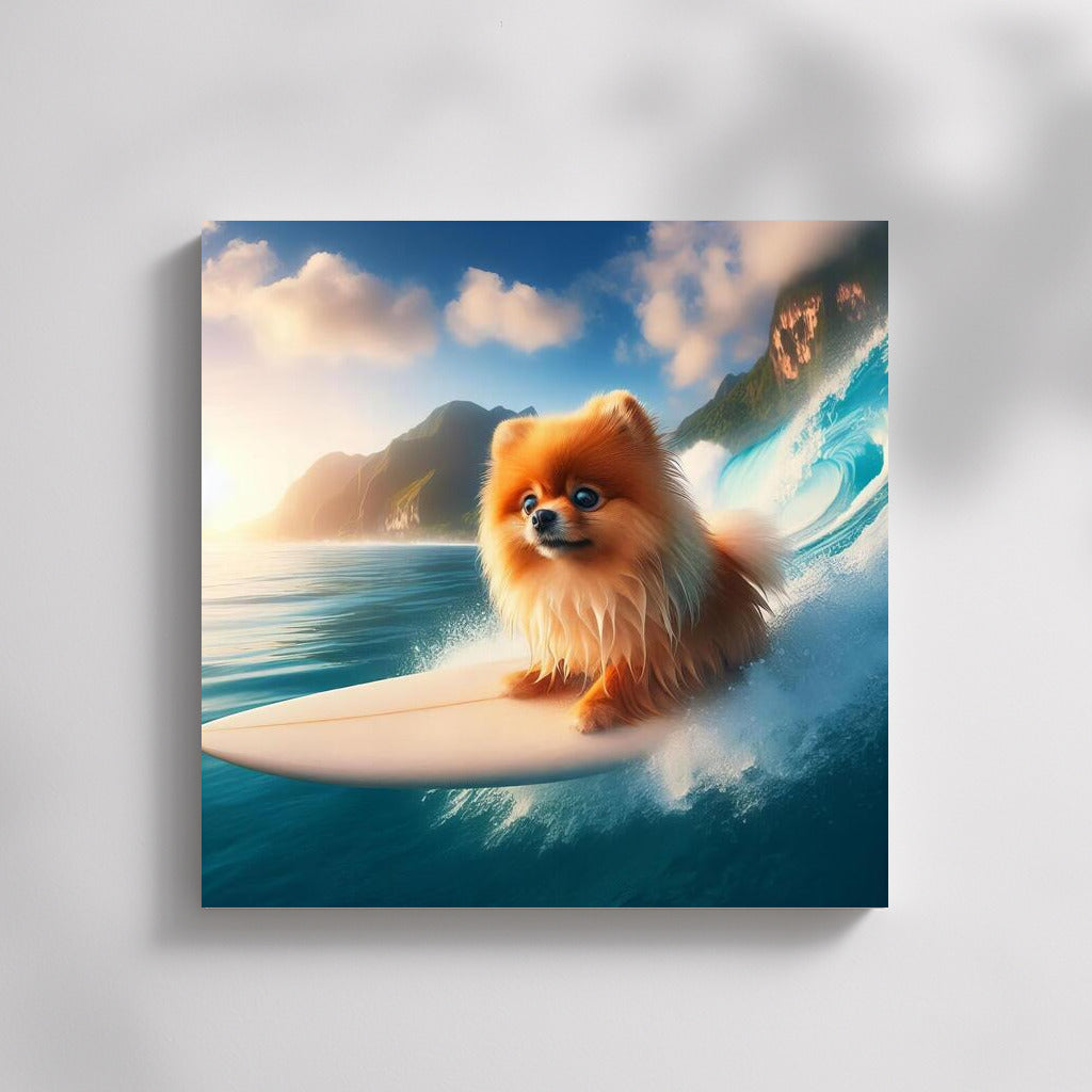 Pomeranian on the crest of a giant wave: Energy and Joy in your home