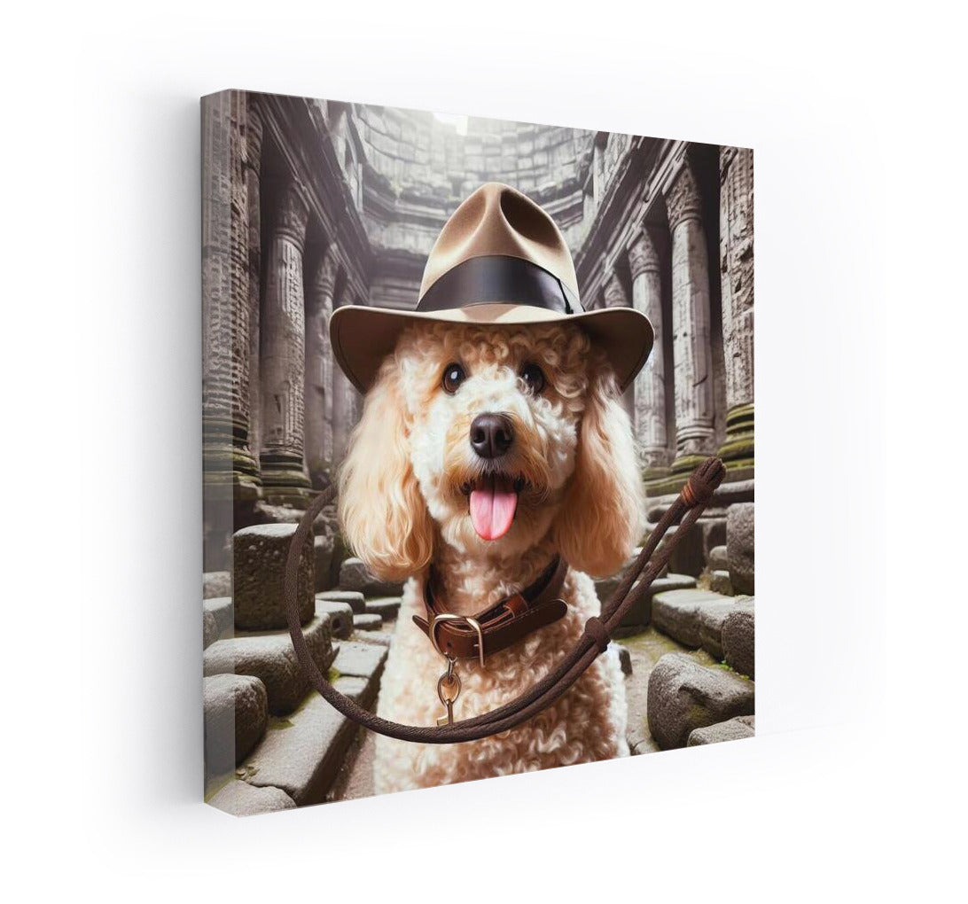Poodle Archaeologist: Indiana Jones in Ancient Ruins