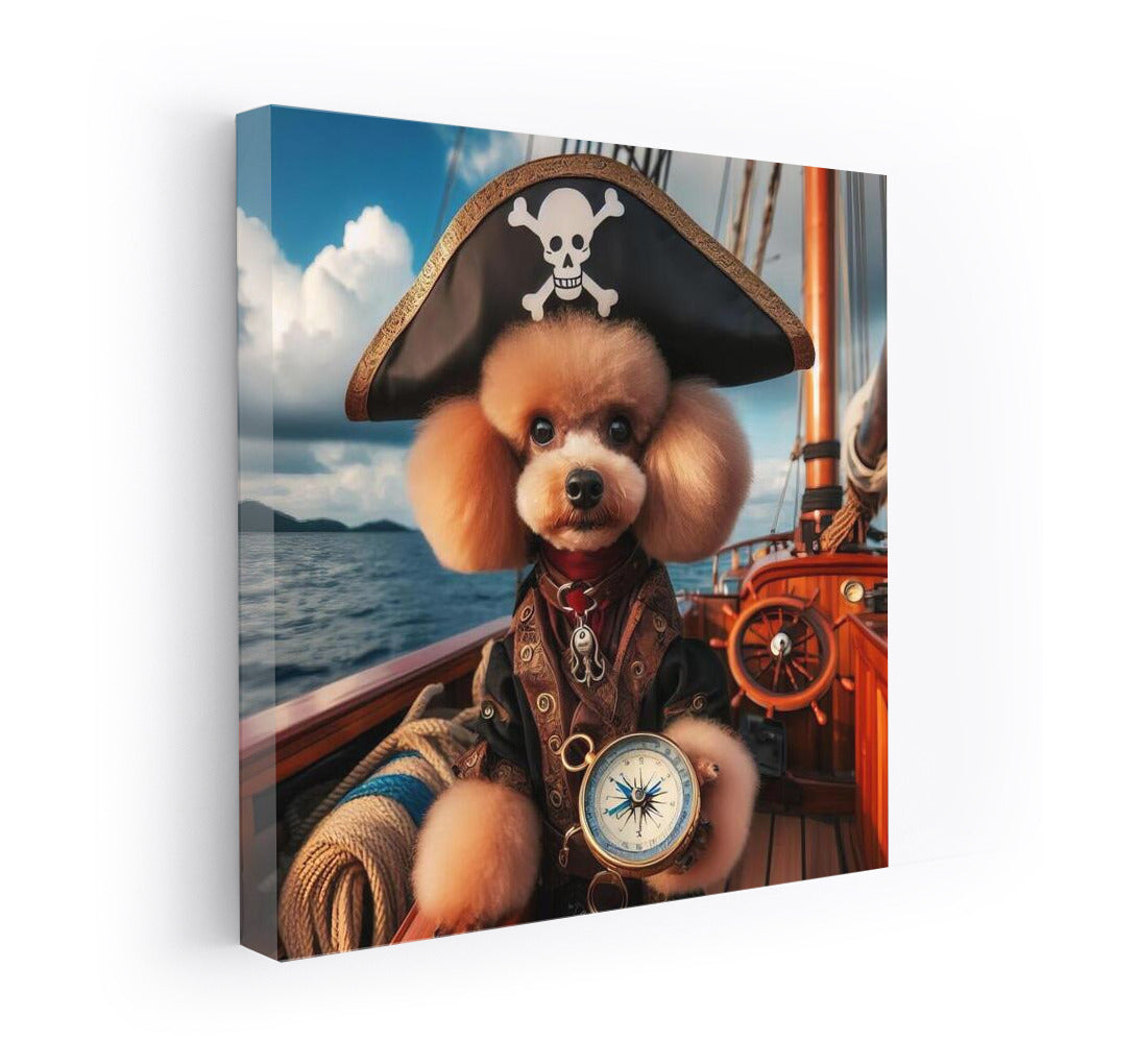 Poodle Pirate: Caribbean Sea Adventures