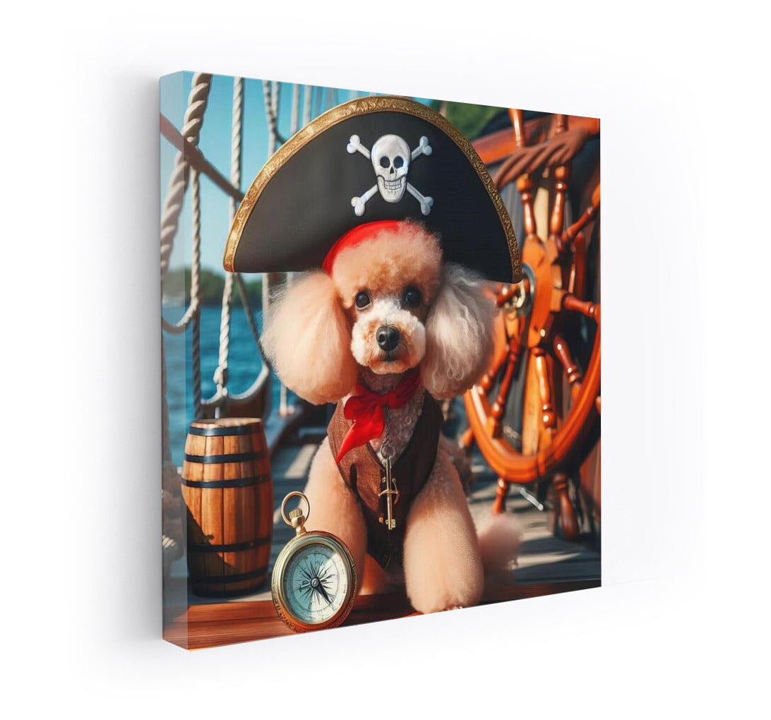 Pirate Poodle: Captain of Sea Adventures with Compass