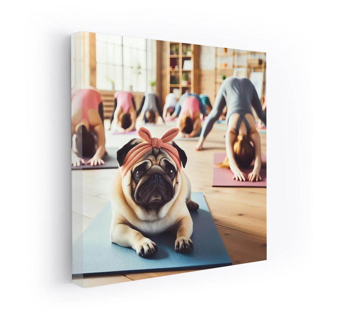 Pug in Training: Fitness Adventure 2