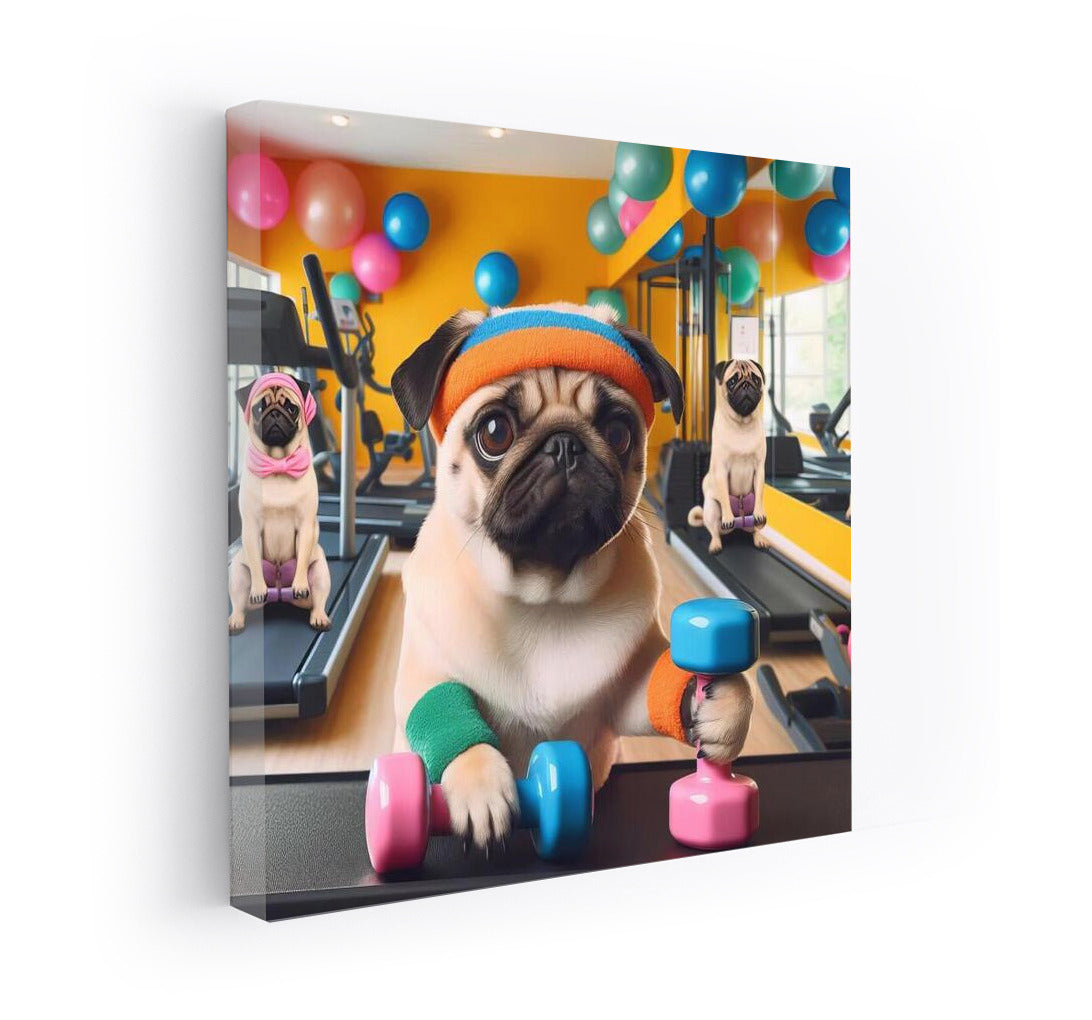 Pug in the Fitness Room: Energy and Positivity