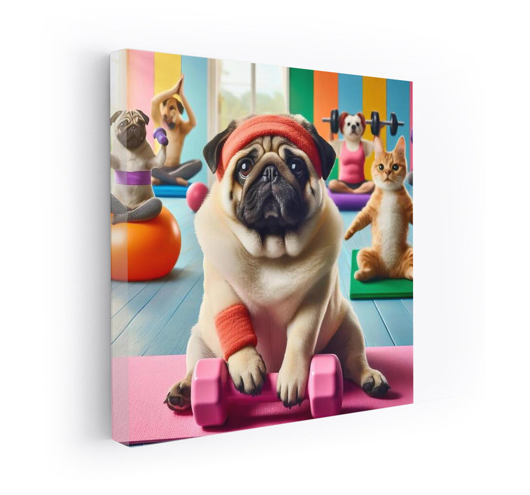 Pug in the Gym: Fitness Adventures with Friends