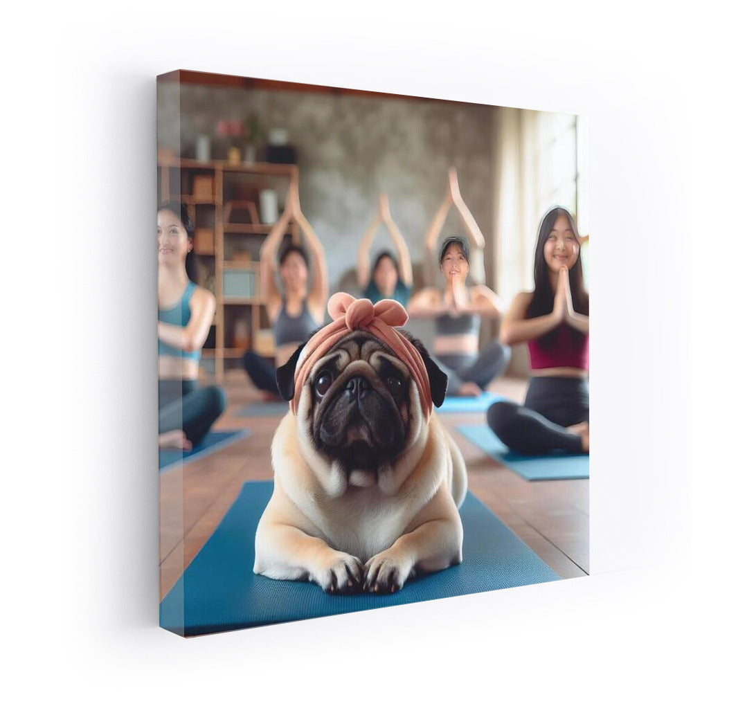 Pug in Yoga Studio: Harmony and Calm on the Mat