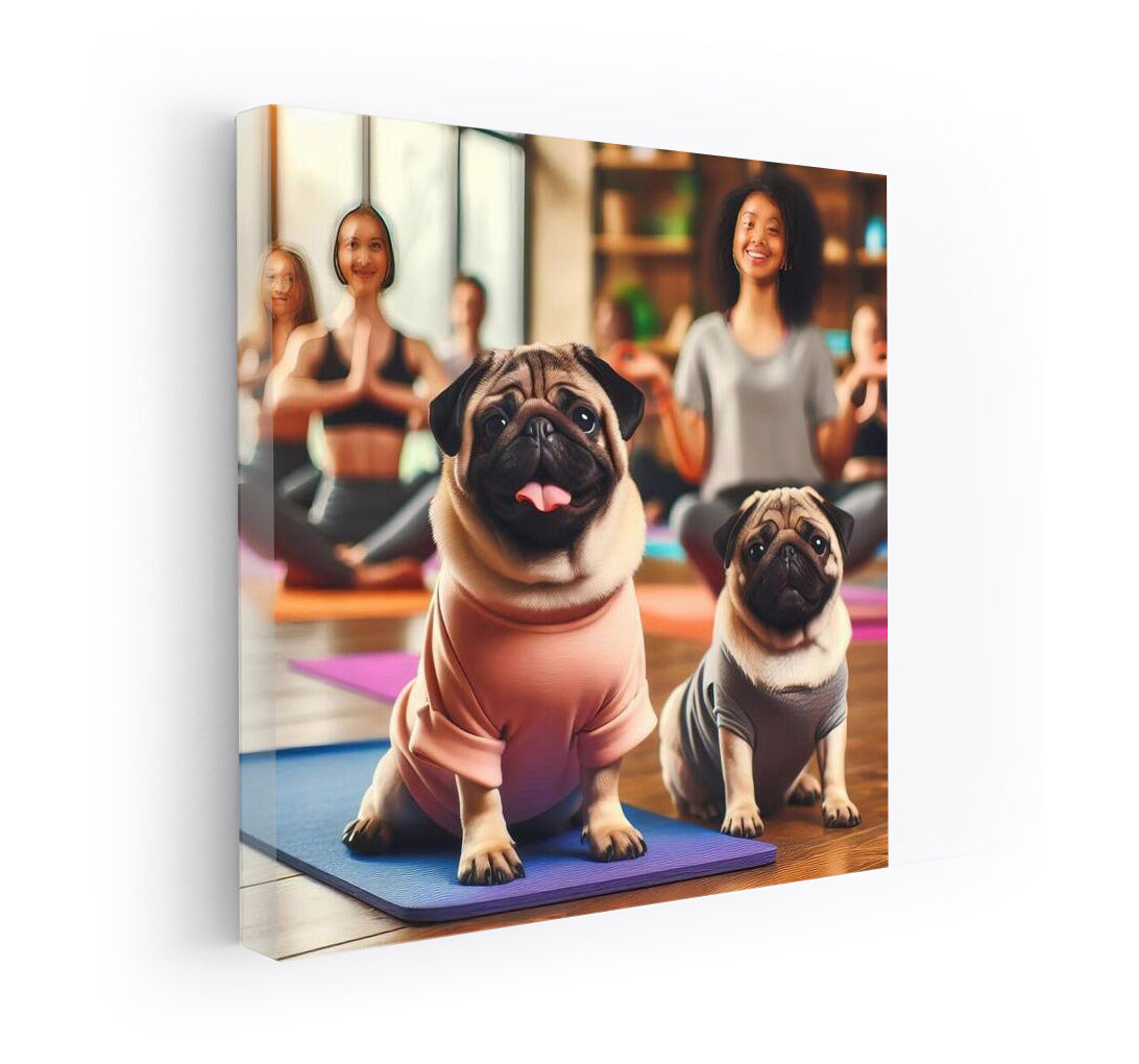 Pug in Yoga Studio: Funny Pugs on Mats