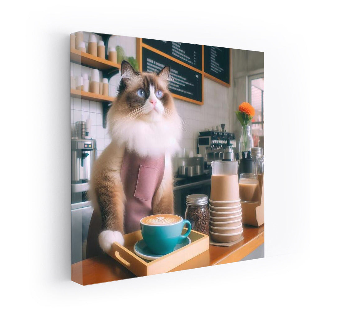 Ragdoll Barista: Coffee Comfort in Paws
