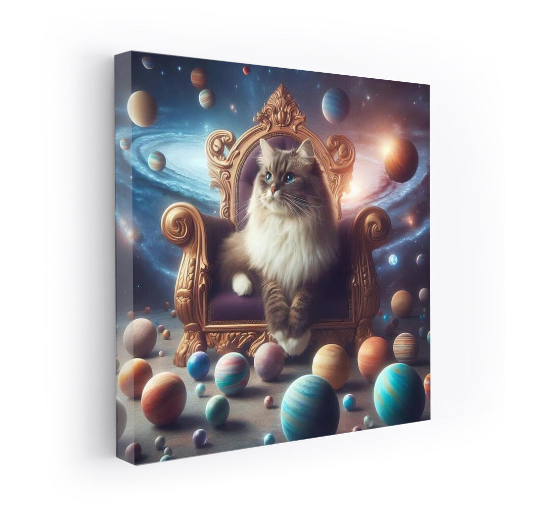 Space Ragdoll: King of the Galaxy and Player of the Planets
