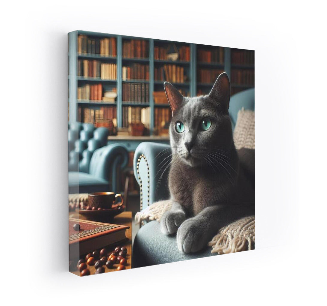 Russian Blue in the Cozy Library: Charm and Warmth