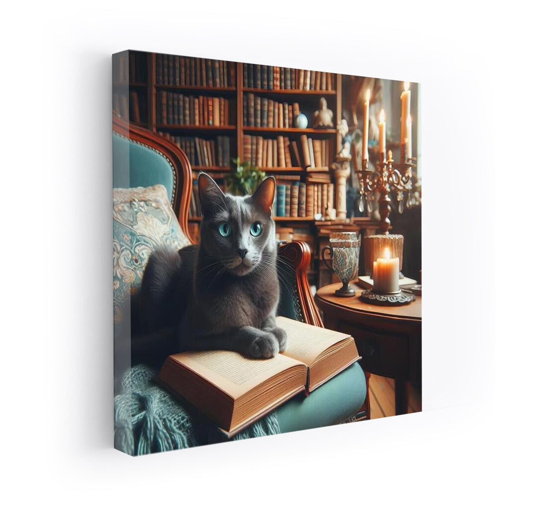 Russian Blue in the Cozy Library: Charm and Tranquility