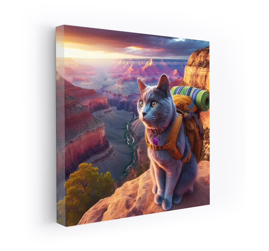 Russian Blue at the Top of the Grand Canyon: Journey Among the Multicolored Rocks