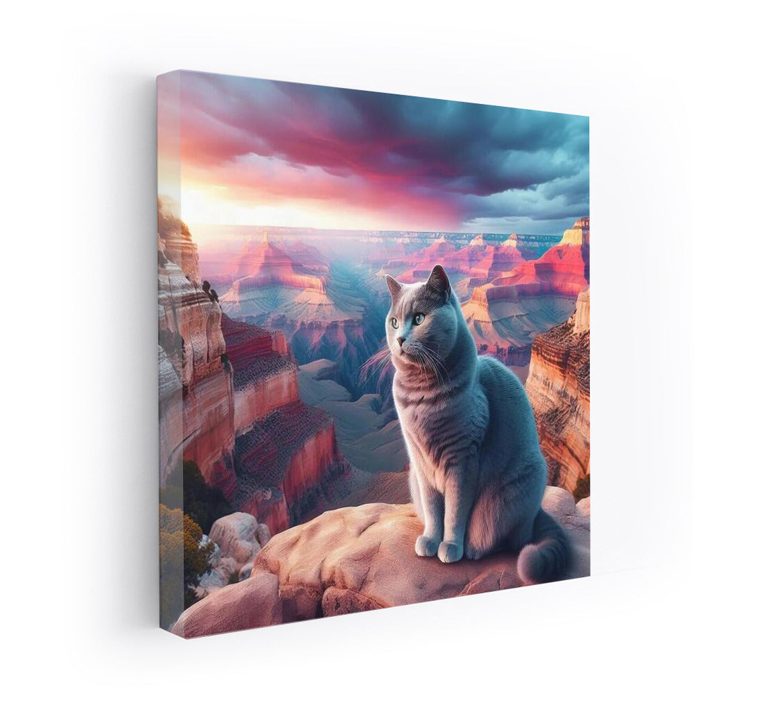 Russian Blue in the Grand Canyon: A Cat Among the Multi-Colored Rocks