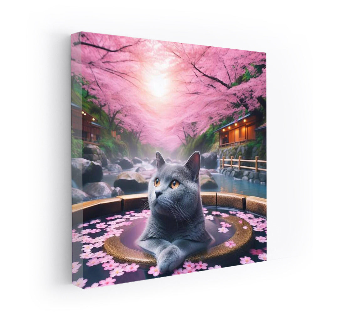Russian Blue: Relaxing in a Japanese Hot Spring under Sakura