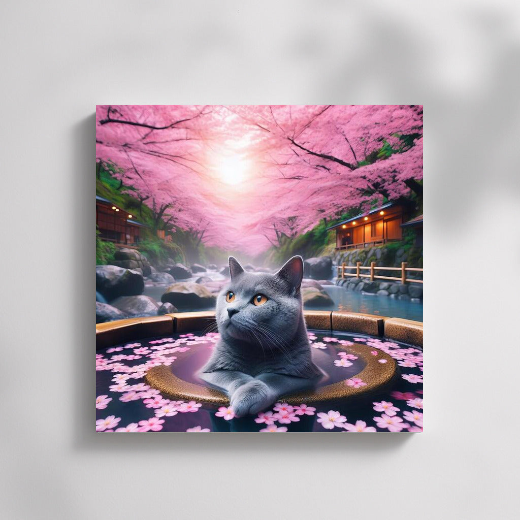 Russian Blue: Relaxing in a Japanese Hot Spring under Sakura