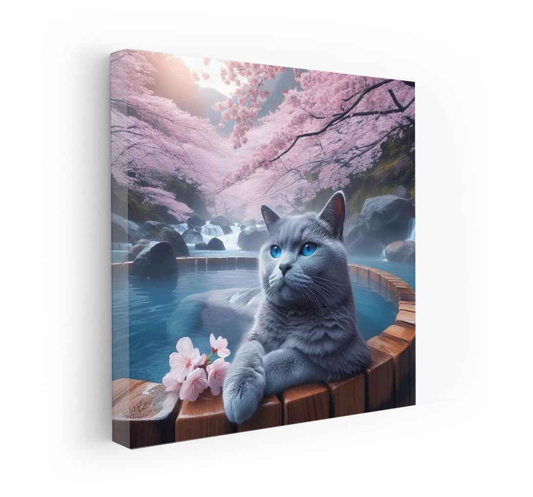 Russian Blue Cat in Japanese Hot Spring among Cherry Blossoms