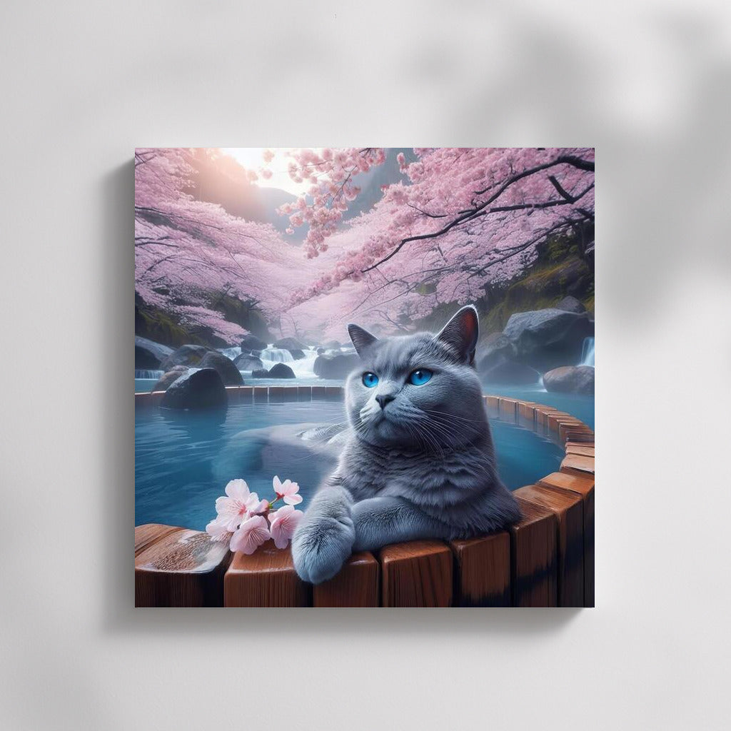 Russian Blue Cat in Japanese Hot Spring among Cherry Blossoms