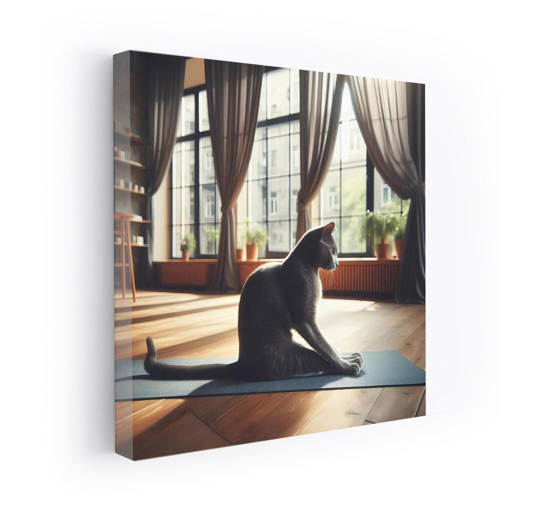 Russian Blue Yoga Studio 3: Yoga in a Sunny Interior