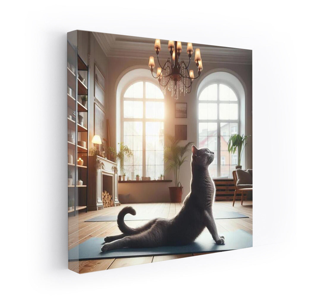 Grace of Russian Blue: Yoga and Tranquility in the Interior