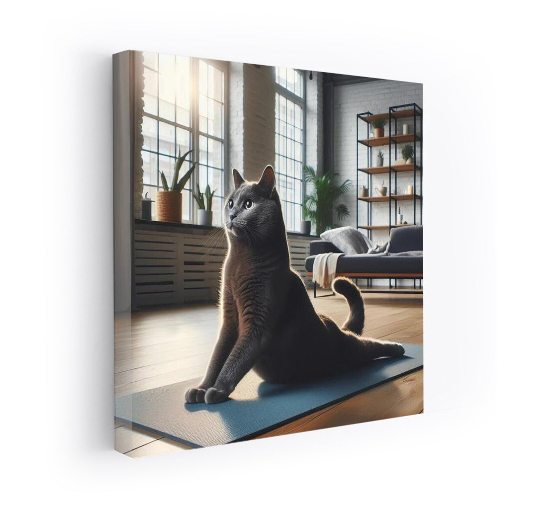 Russian Blue in Yoga: Harmony and Tranquility