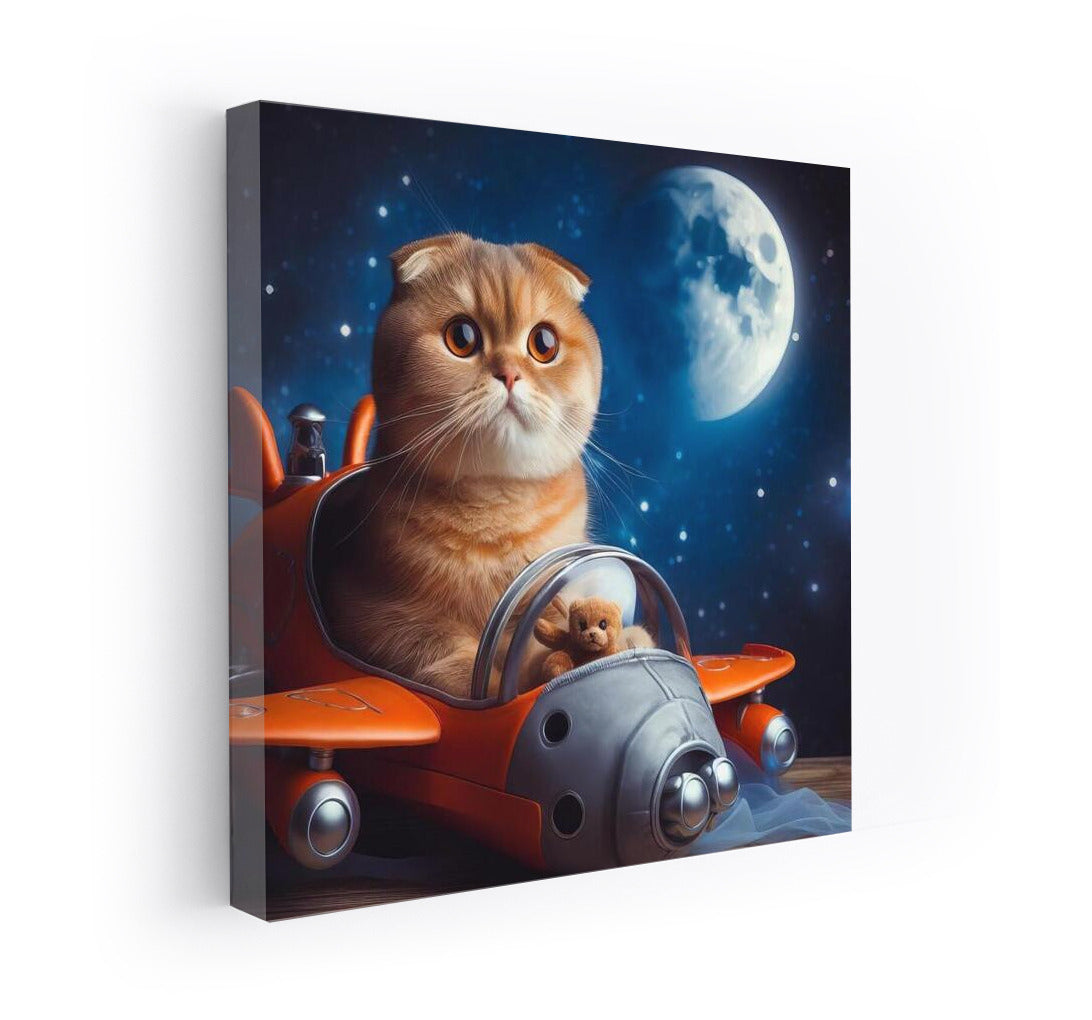 Moonwalker: Scottish Fold in a Stellar Odyssey