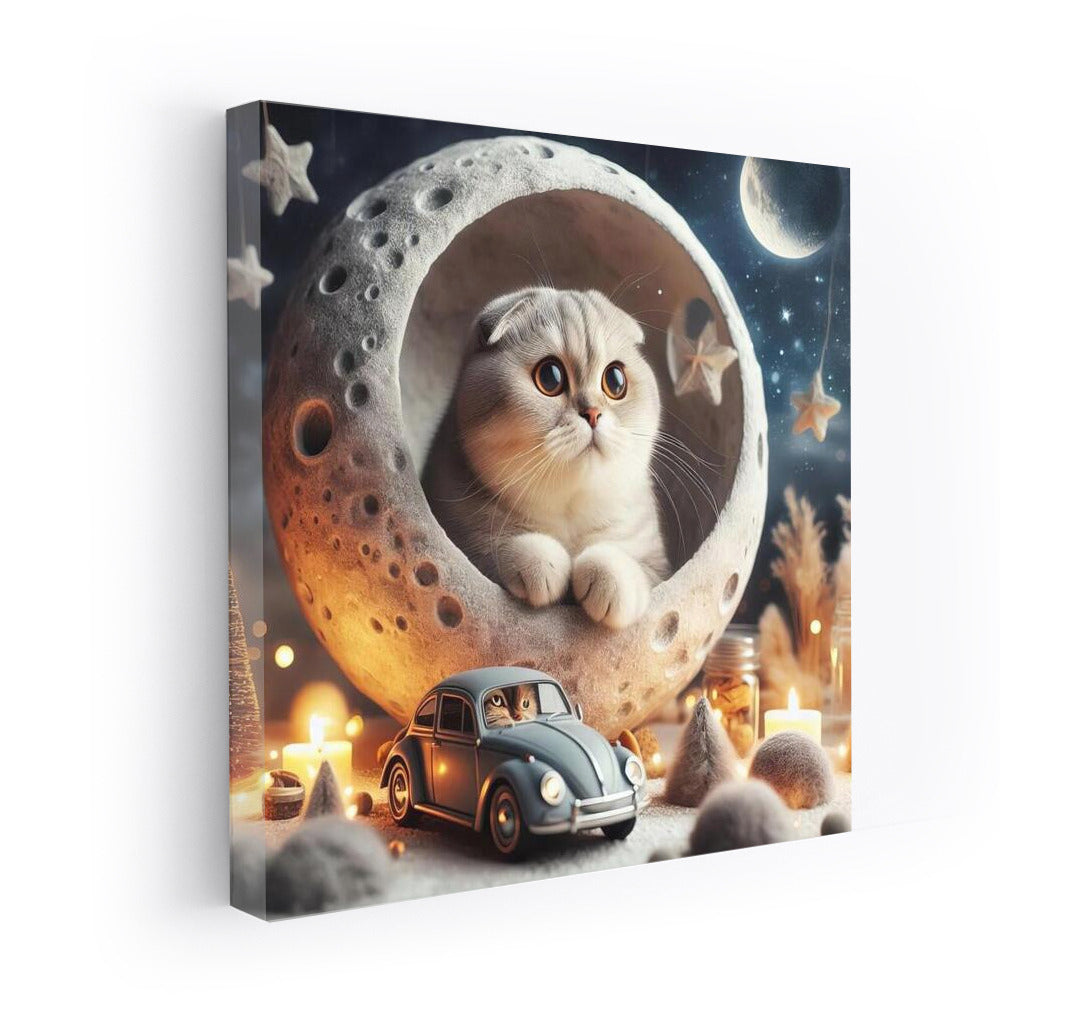 Space Magic: Scottish Fold on the Moon