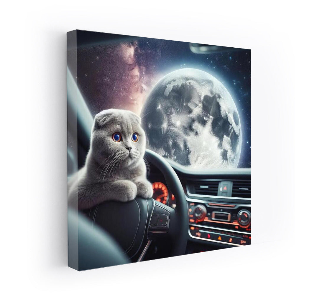 Scottish Fold on the Moon: A Space Odyssey #4