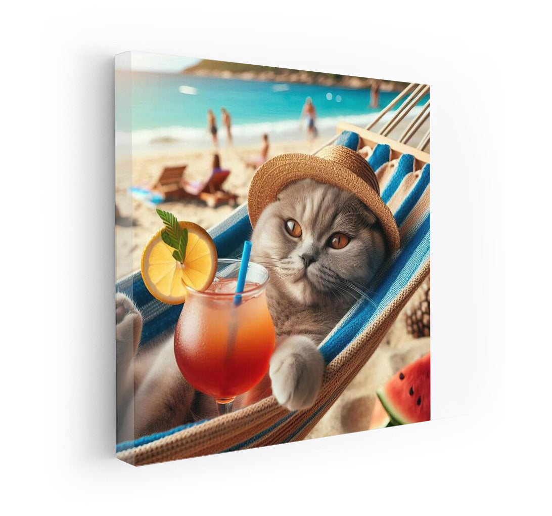 Scottish Fold on the Beach: Cat in a Hammock with a Cocktail