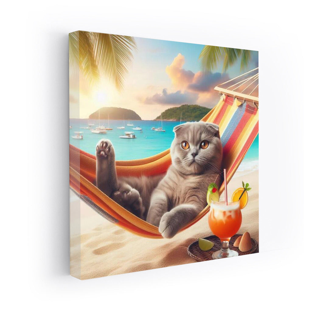 Scottish Fold on Beach Vacation with Cocktail